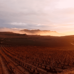 Fotografía cedida por la Oficina de Turismo de Labastida