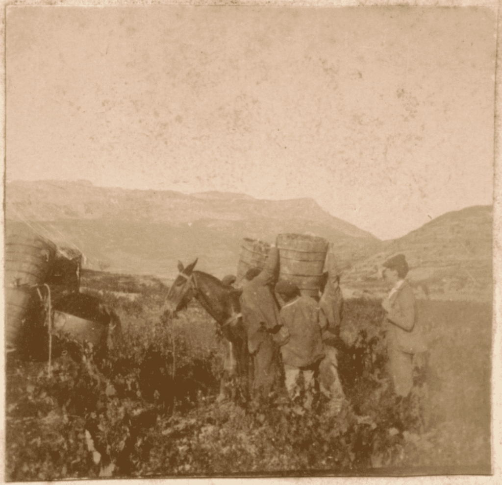 Pueblos de Álava - de abuelas a nietos. Labastida. Oñate Reynares. Photo-Araba