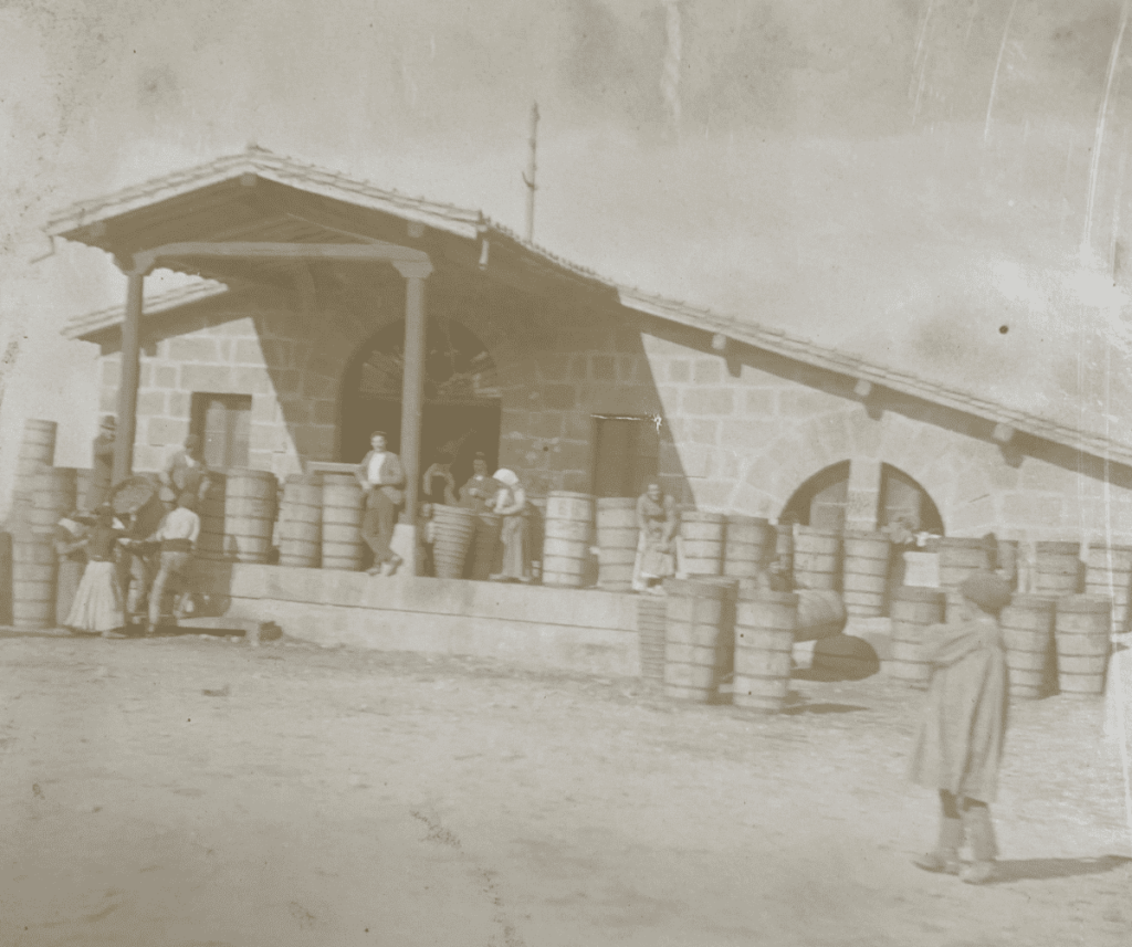 Pueblos de Álava - de abuelas a nietos. Labastida.