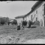 Salvatierra hacia 1920. E. Guinea. Archivo Municipal de Vitoria