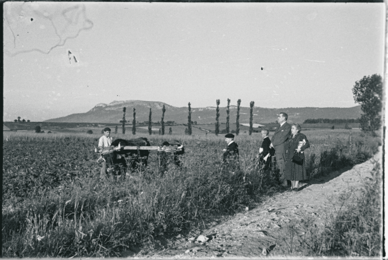 Agurain | Pueblos de Álava, de abuelas a nietas y nietos. E. Guinea. Archivo Municipal de Vitoria-Gasteiz