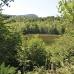 Foto cedida por Irekia-Gobierno Vasco. Pedro Odriozola