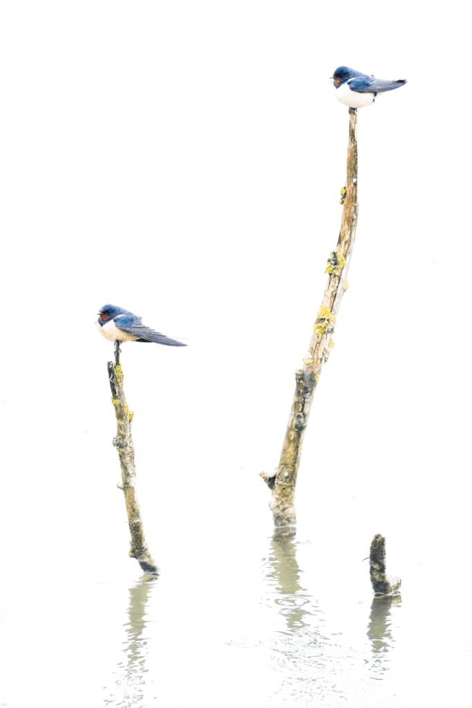 Pueblos de Álava, de abuelas a nietas y nietos. Xabier Ramos