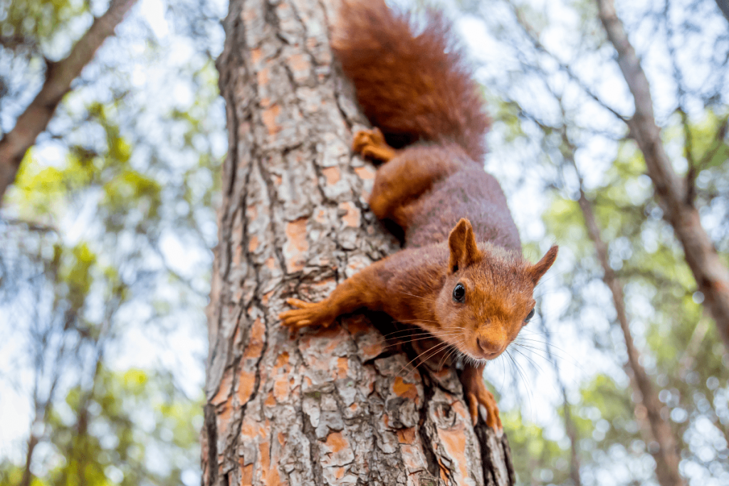 Pueblos de Álava, de abuelas a nietas y nietos. Xabier Ramos
