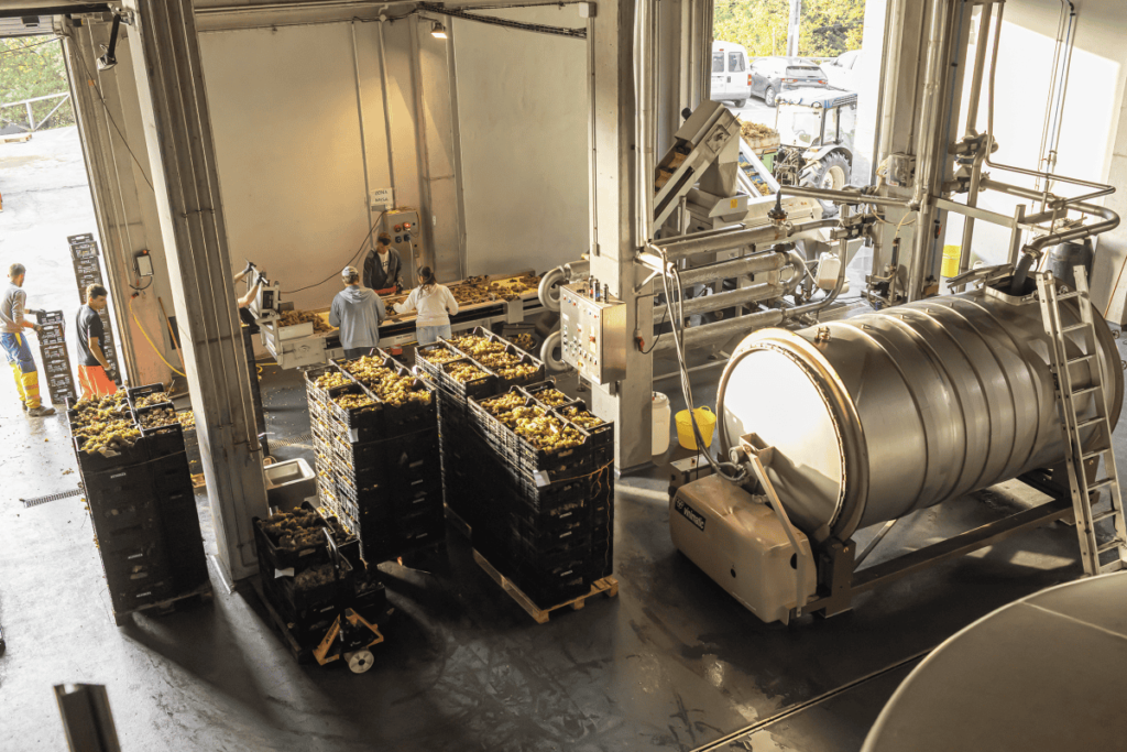 Pueblos de Álava, de abuelas a nietas y nietos. Amurrio