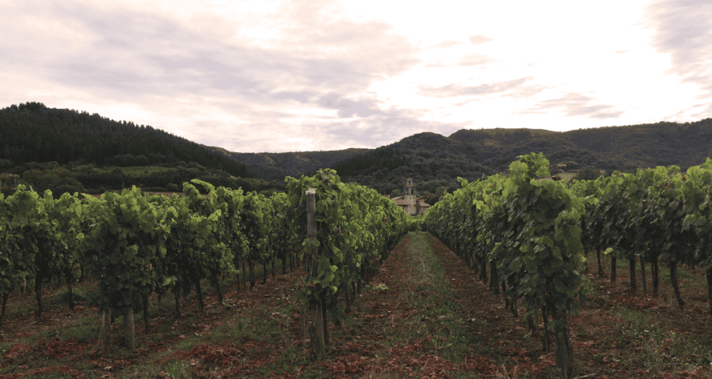 Pueblos de Álava, de abuelas a nietas y nietos. Amurrio