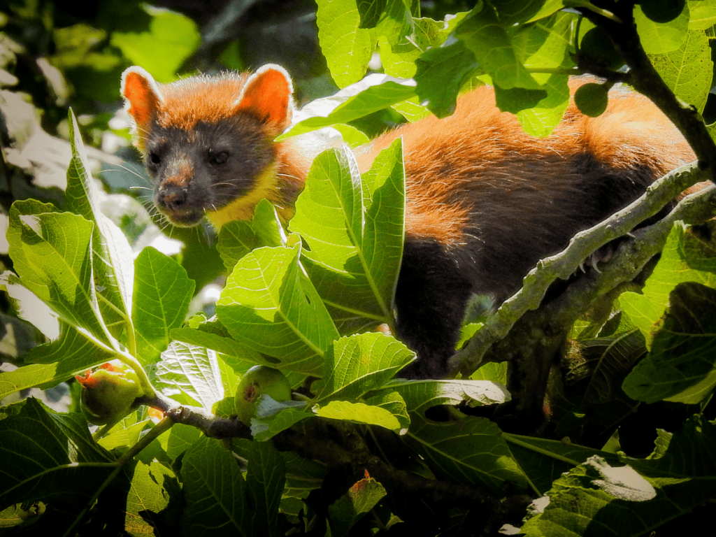 Artziniega | Pueblos de Álava, de abuelas a nietas y nietos. Xabier Ramos