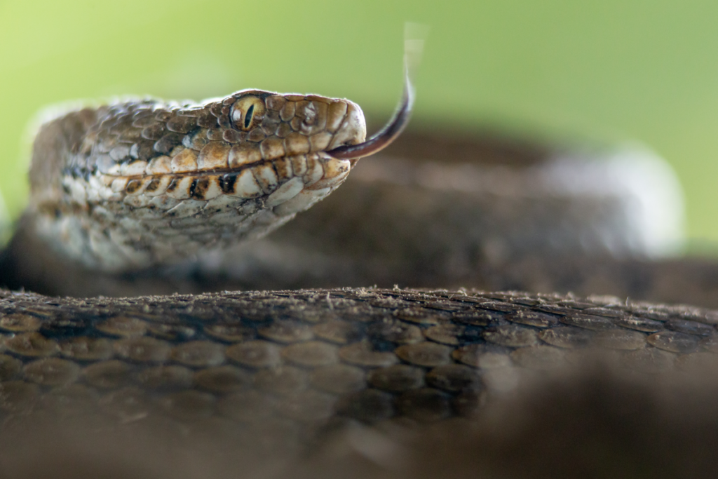 Pueblos de Álava - de abuelas a nietas y nietos. Xabier Ramos