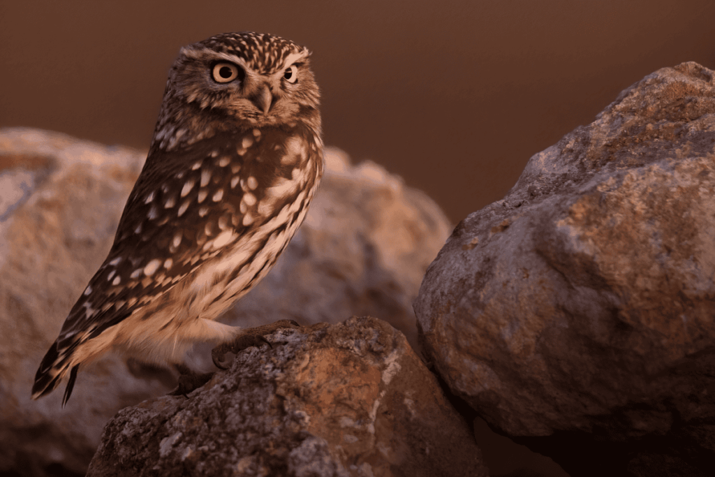 Valdegovía | Pueblos de Álava, de abuelas a nietas y nietos. Xabier Ramos