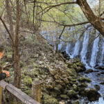 Donde nace el río Zirauntza