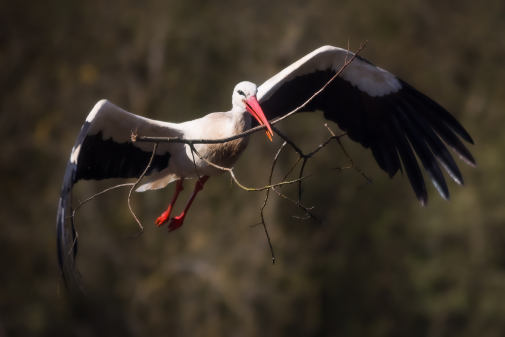Pueblos de Álava, de abuelas a nietas y nietos. Xabier Ramos