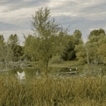 Parque ornitológico de Mendixur