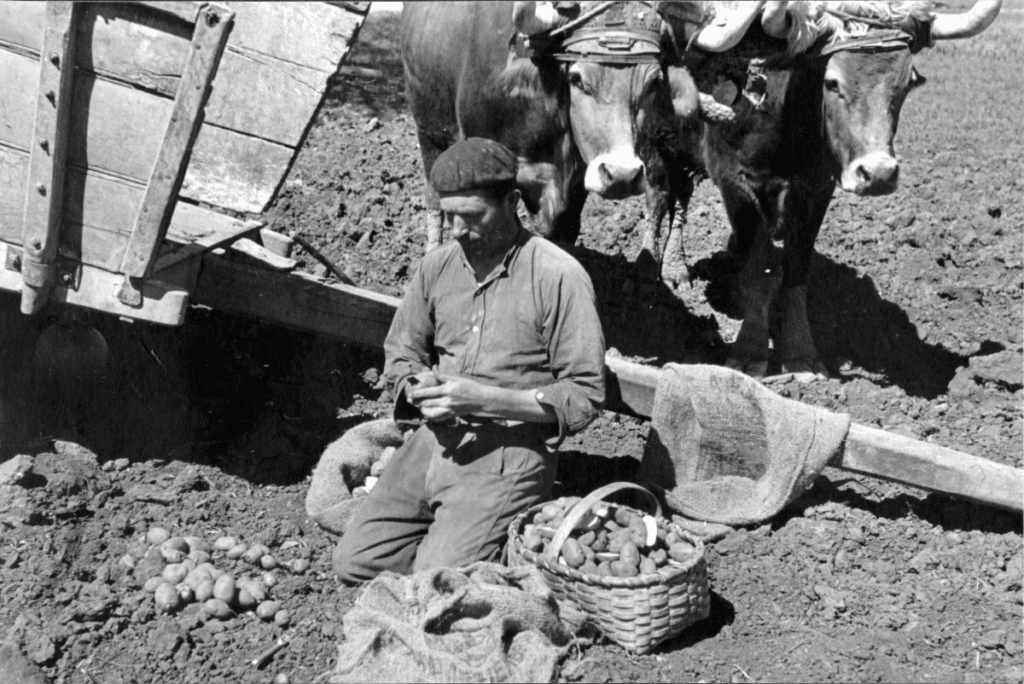 Pueblos de Álava, de abuelas a nietas y nietos. López de Guereñu. Photo-Araba