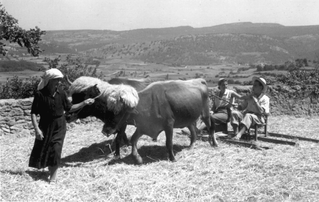 Pueblos de Álava, de abuelas a nietas y nietos López de Guereñu. Photo-Araba
