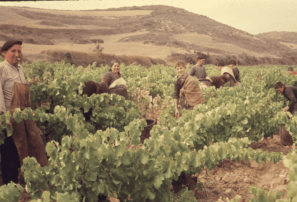 Pueblos de Álava, de abuelas a nietas y nietos. Oyón
