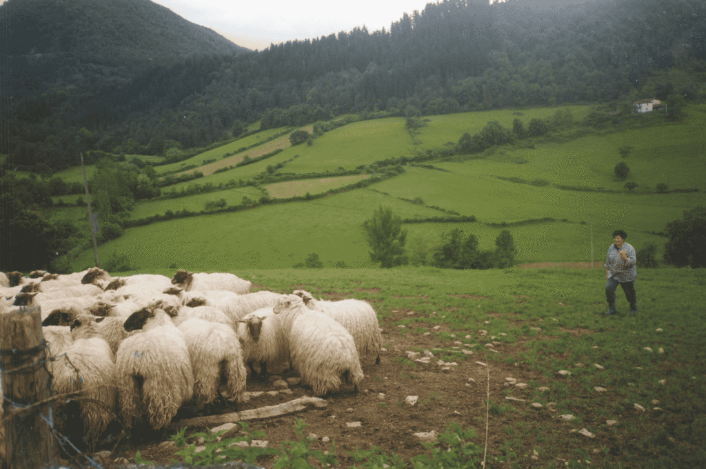Pueblos de Álava, de abuelas a nietas y nietos. Ayala.