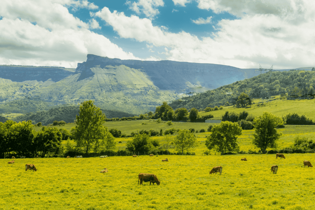 Pueblos de Álava, de abuelas a nietas y nietos. Ayala.