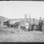 Foto: Familia con segadora. 
Archivo Municipal de Vitoria-Gasteiz.