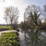 Foto cedida por el Ayuntamiento de Vitoria-Gasteiz. Fotógrafo Josu Izarra.