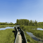 Foto cedida por el Ayuntamiento de Vitoria-Gasteiz. Erredehierro.